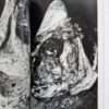 Erotos The work of Nobuyoshi Araki 16 13