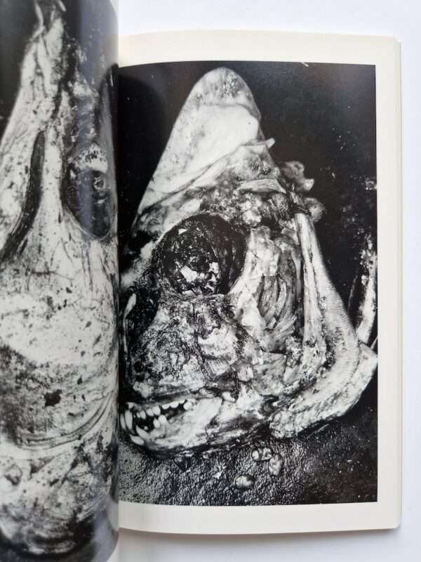 Erotos The work of Nobuyoshi Araki 16 13