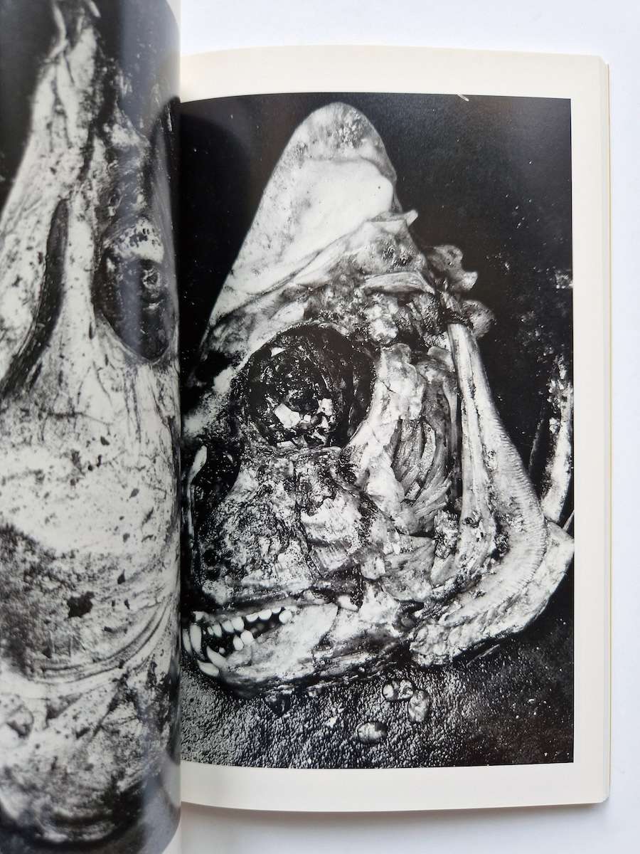 Erotos The work of Nobuyoshi Araki 16 13 Erotos The work of Nobuyoshi Araki 16 13