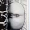 Erotos The work of Nobuyoshi Araki 16 14