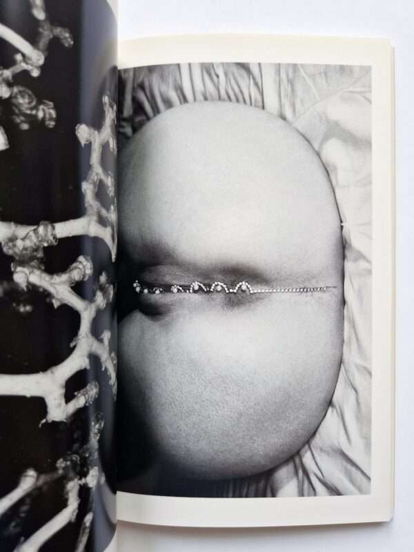 Erotos The work of Nobuyoshi Araki 16 14