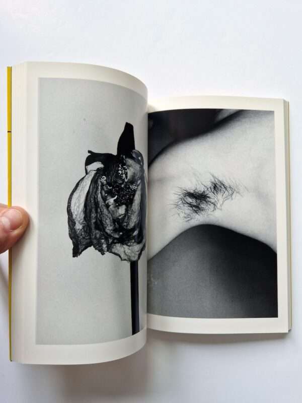 Erotos The work of Nobuyoshi Araki 16 16
