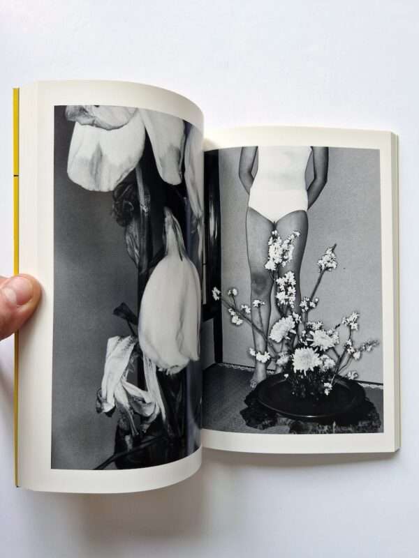Erotos The work of Nobuyoshi Araki 16 17