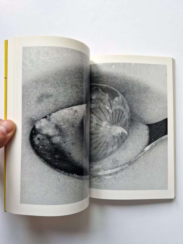 Erotos The work of Nobuyoshi Araki 16 18