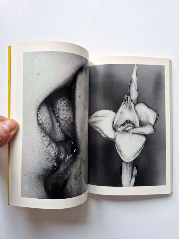 Erotos The work of Nobuyoshi Araki 16 19