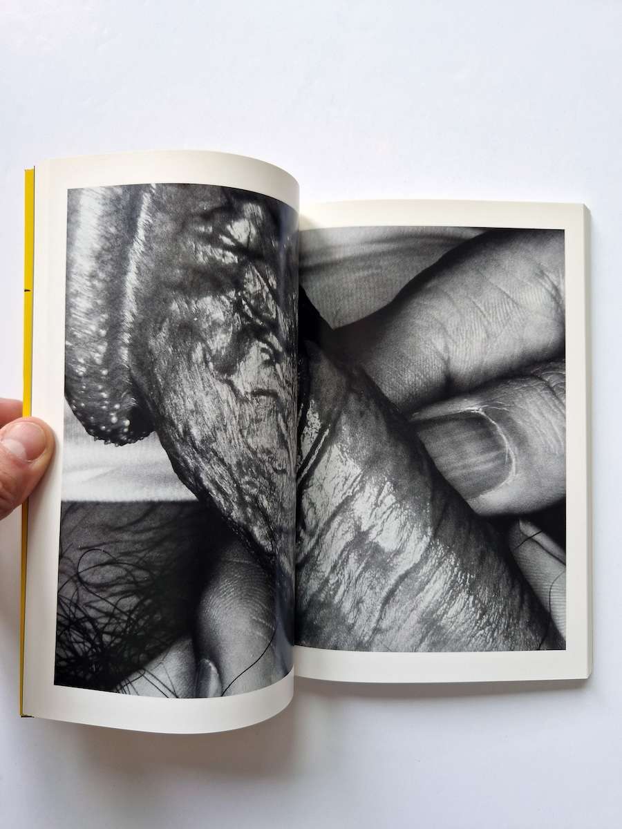 Erotos The work of Nobuyoshi Araki 16 21 Erotos The work of Nobuyoshi Araki 16 21