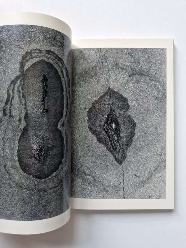 Erotos The work of Nobuyoshi Araki 16 23