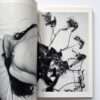 Erotos The work of Nobuyoshi Araki 16 24
