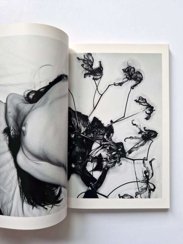 Erotos The work of Nobuyoshi Araki 16 24