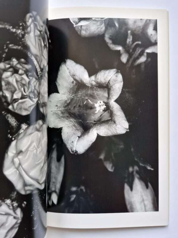 Erotos The work of Nobuyoshi Araki 16 9