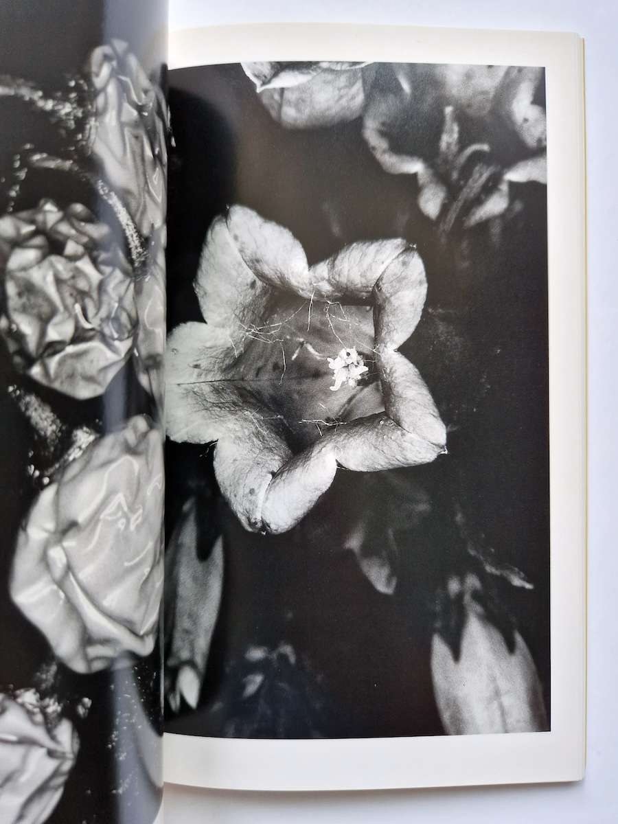 Erotos The work of Nobuyoshi Araki 16 9 Erotos The work of Nobuyoshi Araki 16 9