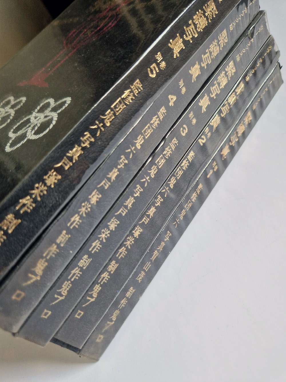 Kinbaku color deluxe version vol.1 5 Oniroku Dan bis 6 Kinbaku color deluxe version vol.1 5 Oniroku Dan bis 6