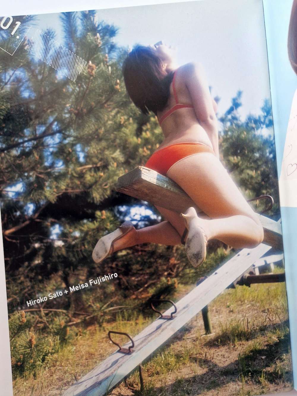 Monthly series – Hiroko Sato M. Fujishiro 3