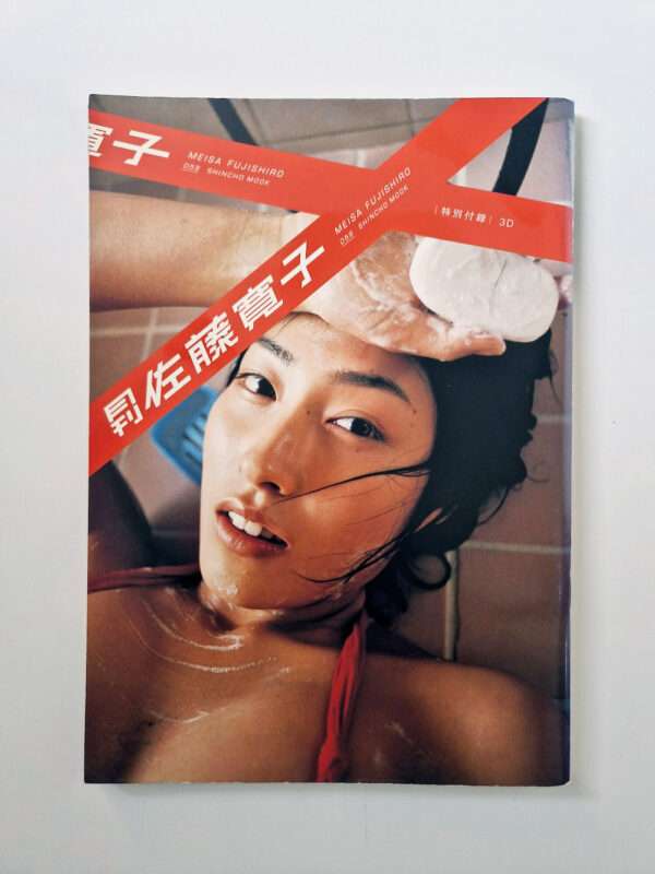 Monthly series – Hiroko Sato M. Fujishiro cover2