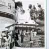 The work of Nobuyoshi Araki 16 Sentimental travelogue 11