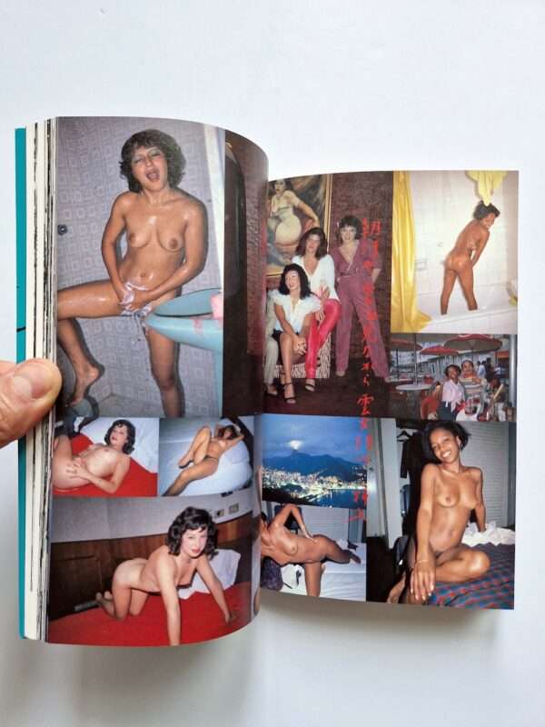 The work of Nobuyoshi Araki 16 Sentimental travelogue 16