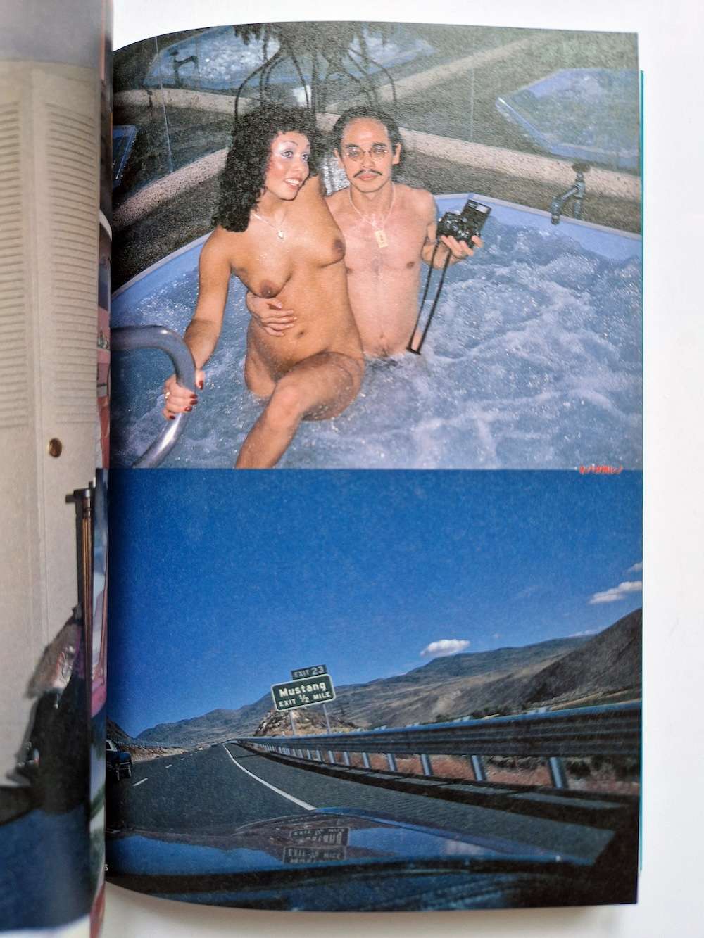 The work of Nobuyoshi Araki 16 Sentimental travelogue 17