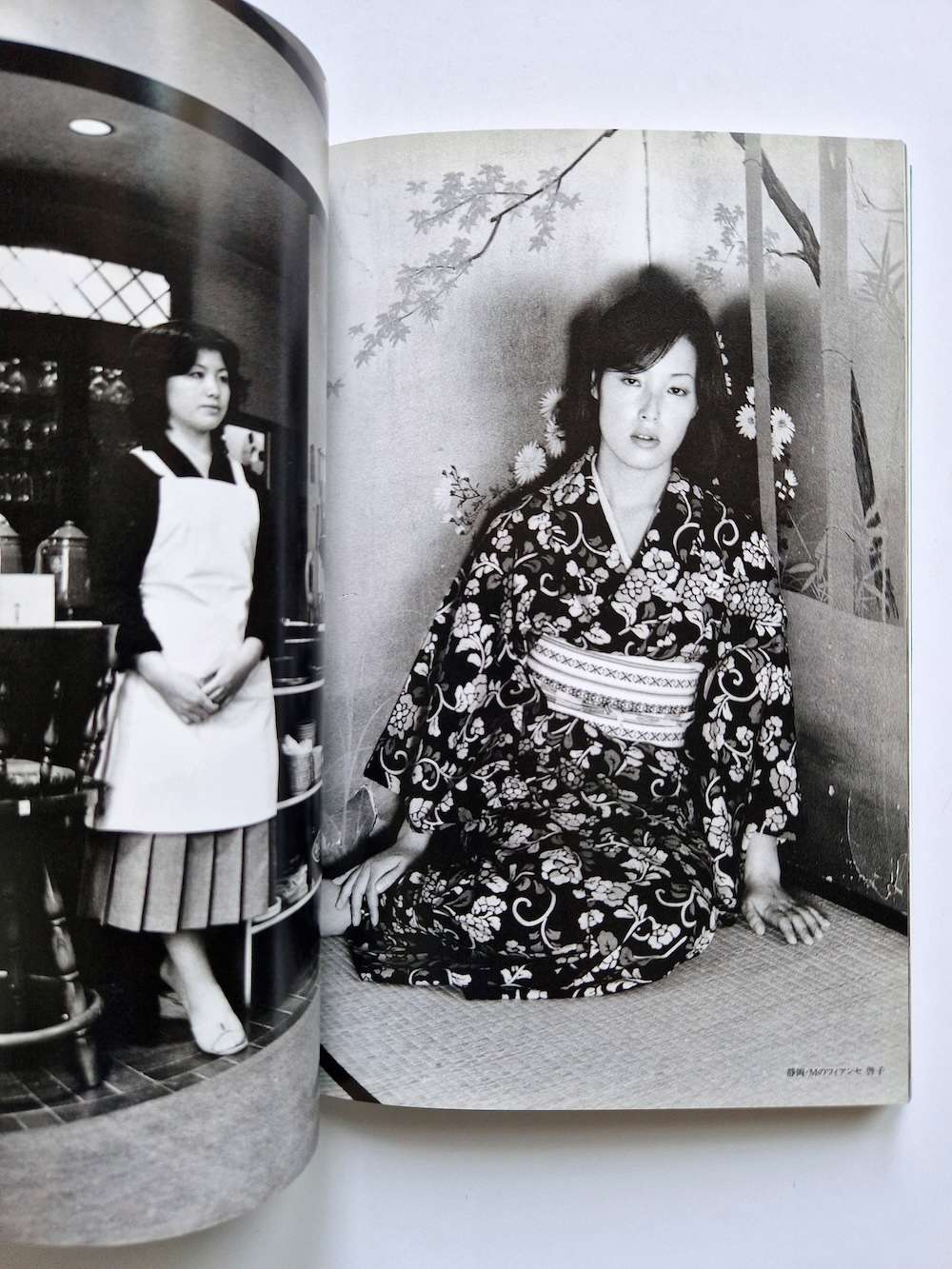 The work of Nobuyoshi Araki 16 Sentimental travelogue 19