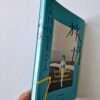 The work of Nobuyoshi Araki 16 Sentimental travelogue bind