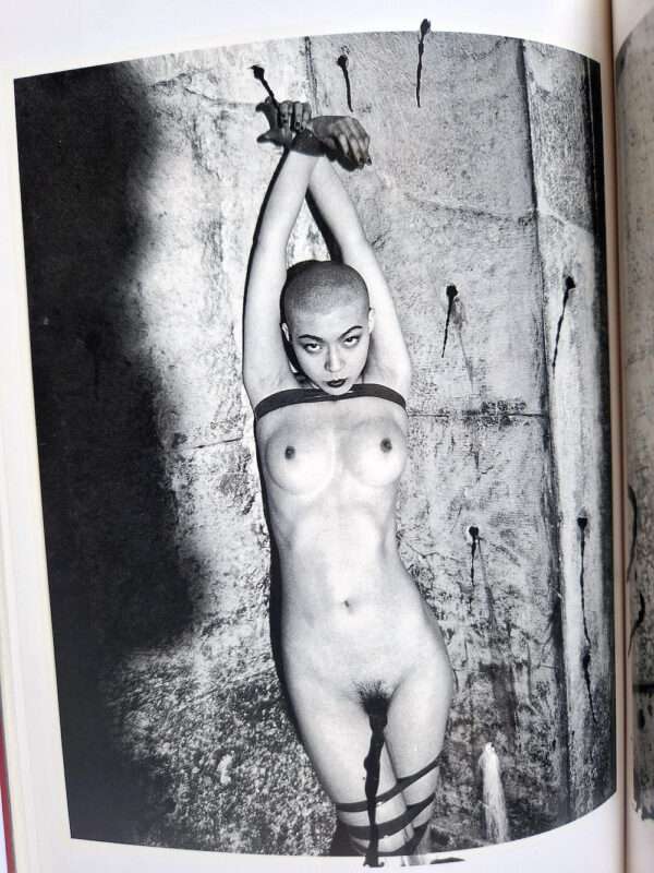 The works of Nobuyoshi Araki 1 Obscenities and strange black ink stories bis 11
