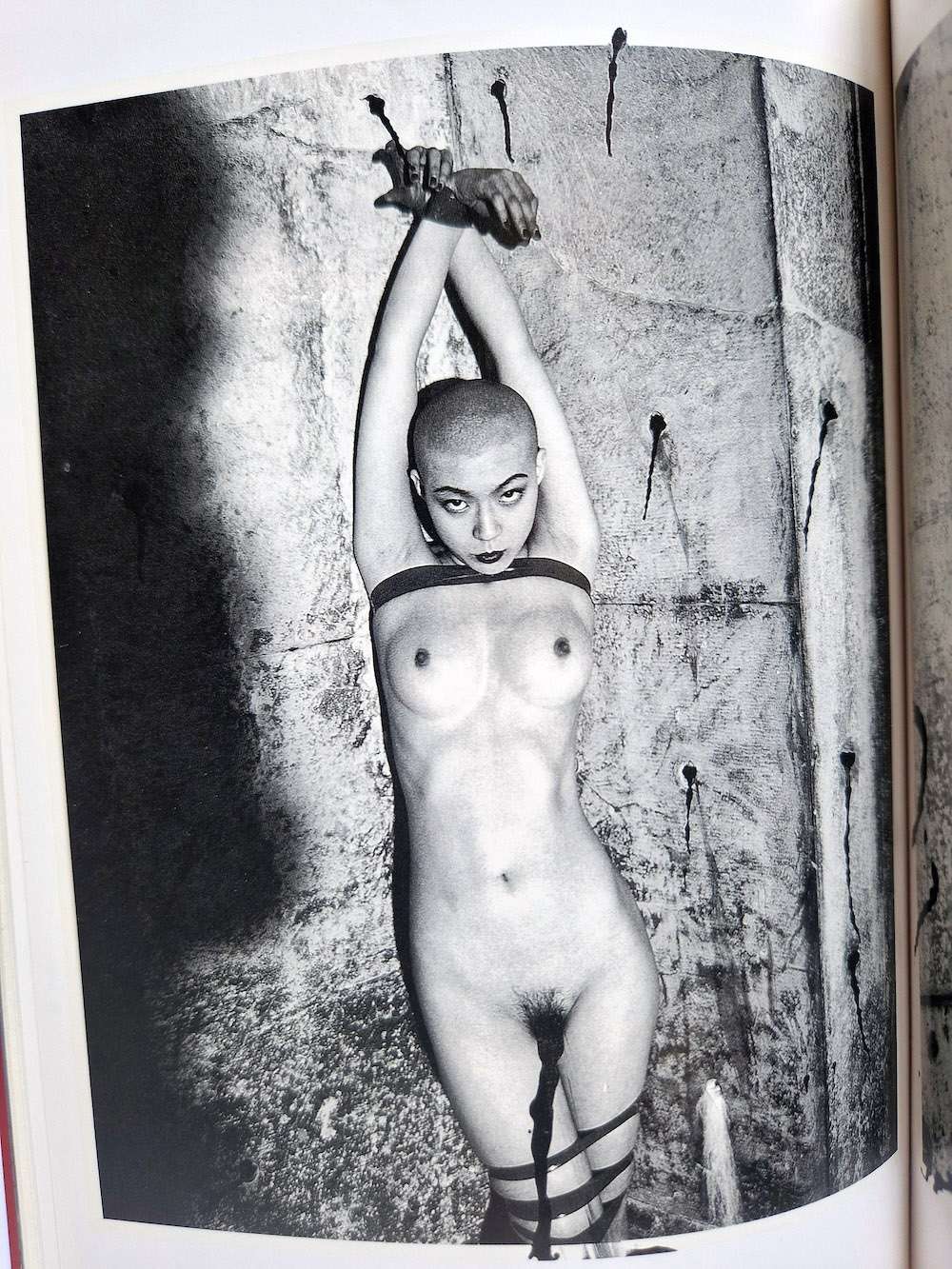 The works of Nobuyoshi Araki 1 Obscenities and strange black ink stories bis 11 The works of Nobuyoshi Araki 1 Obscenities and strange black ink stories bis 11