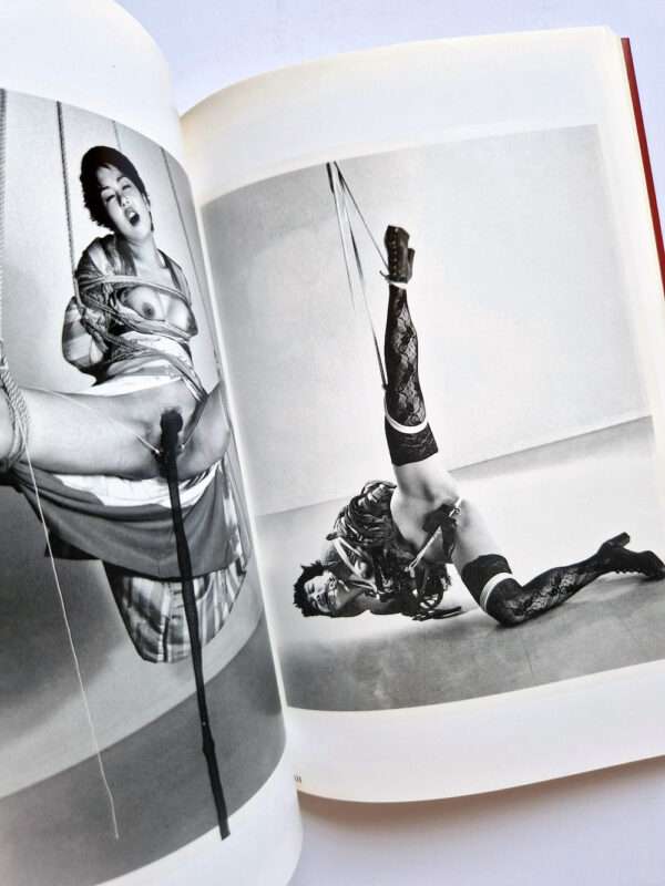 The works of Nobuyoshi Araki 1 Obscenities and strange black ink stories bis 13