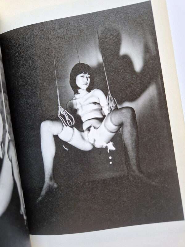 The works of Nobuyoshi Araki 1 Obscenities and strange black ink stories bis 15
