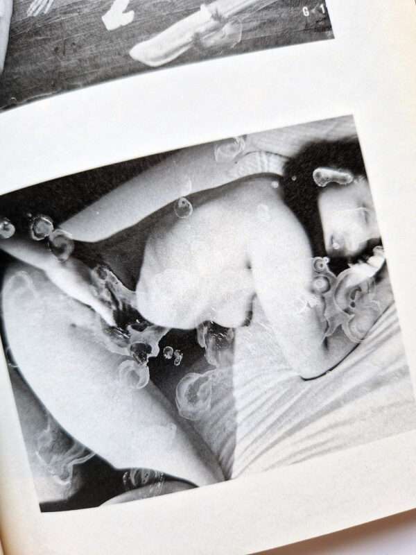 The works of Nobuyoshi Araki 1 Obscenities and strange black ink stories bis 16