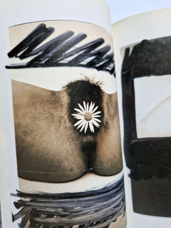 The works of Nobuyoshi Araki 1 Obscenities and strange black ink stories bis 20
