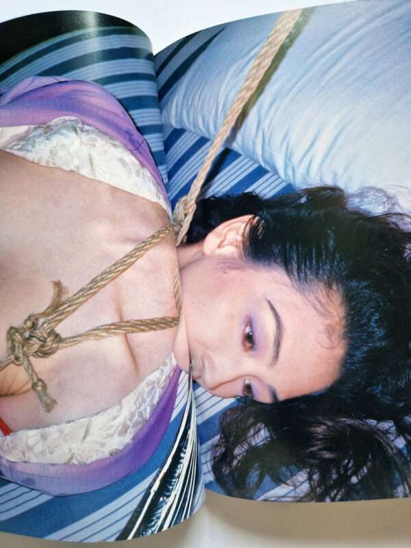 The works of Nobuyoshi Araki 1 Obscenities and strange black ink stories bis 24