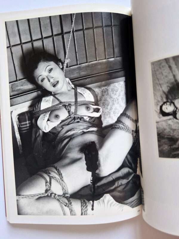 The works of Nobuyoshi Araki 1 Obscenities and strange black ink stories bis 3