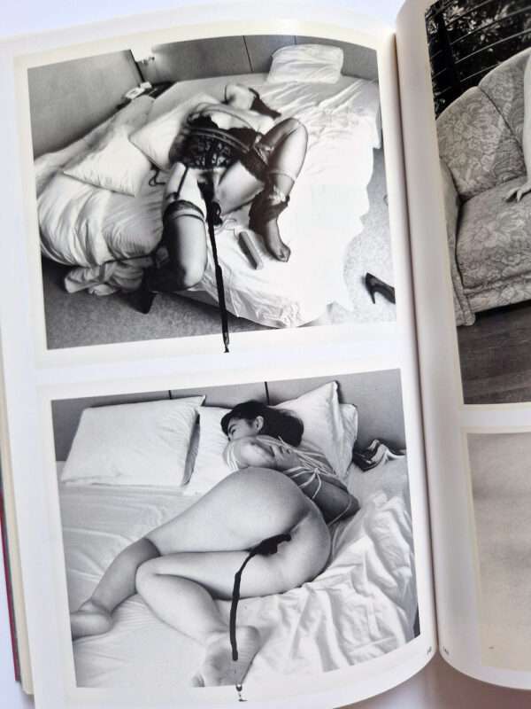 The works of Nobuyoshi Araki 1 Obscenities and strange black ink stories bis 7