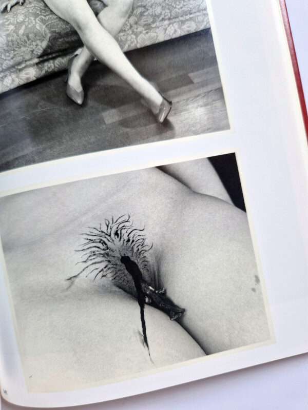 The works of Nobuyoshi Araki 1 Obscenities and strange black ink stories bis 8