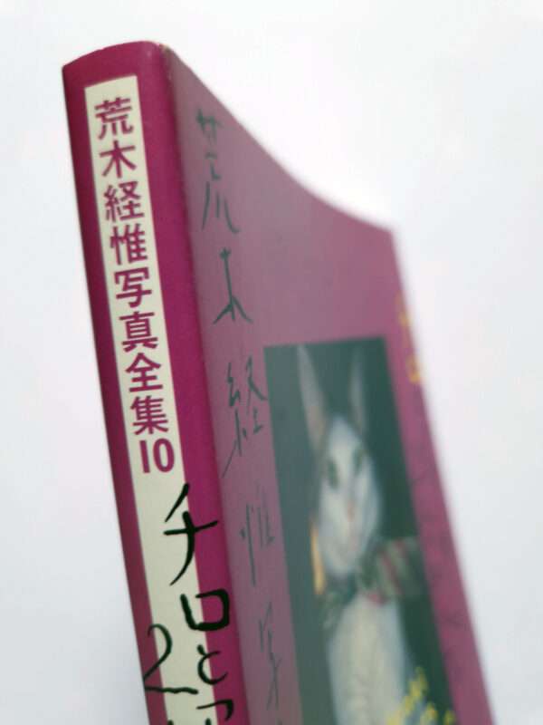 The works of Nobuyoshi Araki 10 Chiro, Araki and 2 lovers bind2