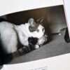 The works of Nobuyoshi Araki 10 Chiro, Araki and 2 lovers bis 10