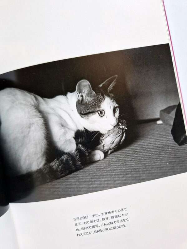 The works of Nobuyoshi Araki 10 Chiro, Araki and 2 lovers bis 10