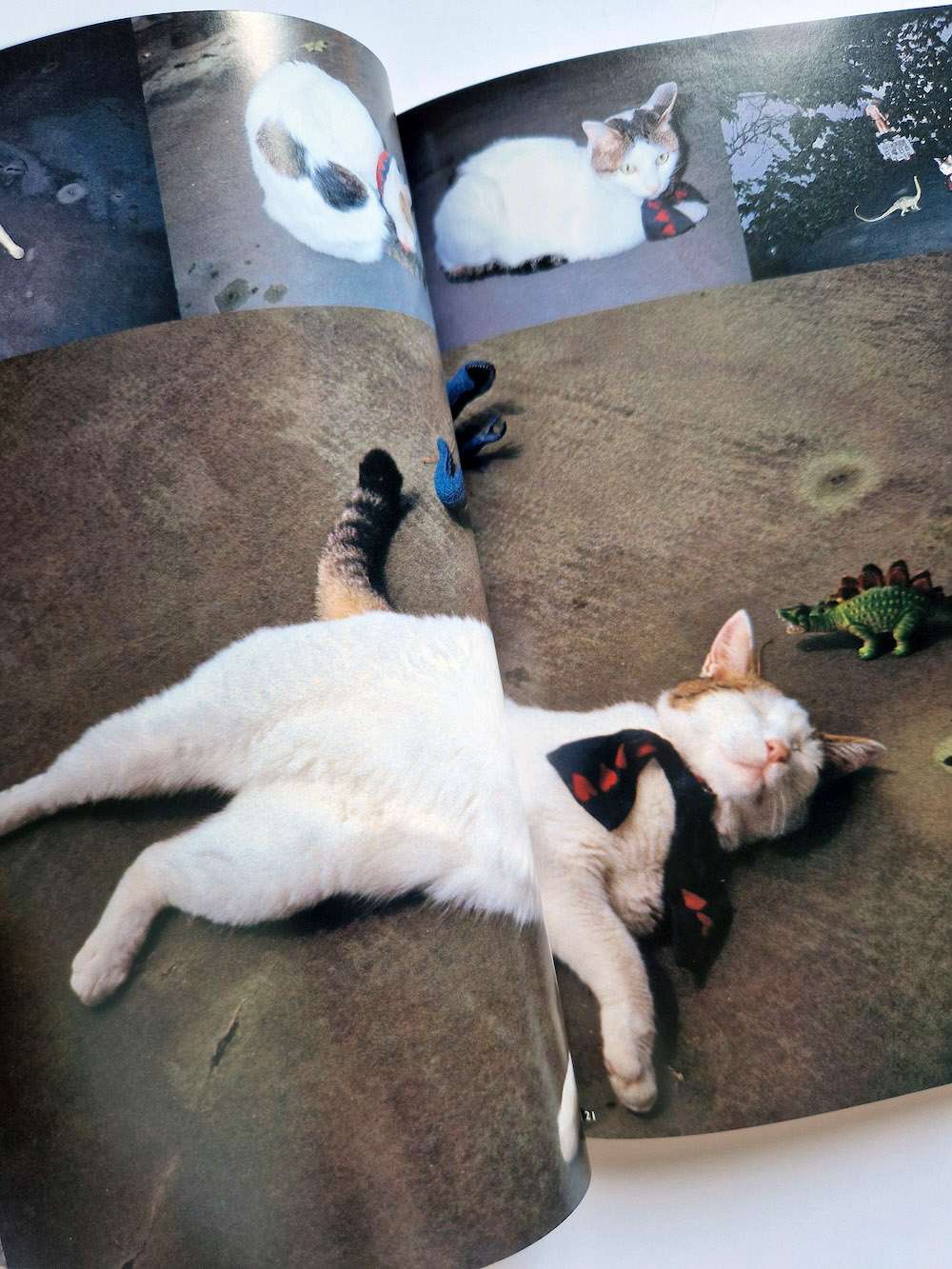 The works of Nobuyoshi Araki 10 Chiro, Araki and 2 lovers bis 12 The works of Nobuyoshi Araki 10 Chiro, Araki and 2 lovers bis 12