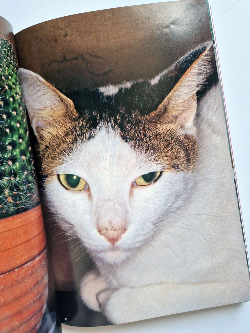 The works of Nobuyoshi Araki 10 Chiro, Araki and 2 lovers bis 13 The works of Nobuyoshi Araki 10 Chiro, Araki and 2 lovers bis 13