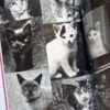 The works of Nobuyoshi Araki 10 Chiro, Araki and 2 lovers bis 5