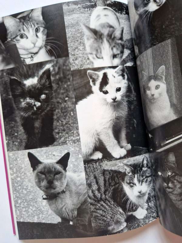 The works of Nobuyoshi Araki 10 Chiro, Araki and 2 lovers bis 5