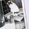 The works of Nobuyoshi Araki 10 Chiro, Araki and 2 lovers bis 9
