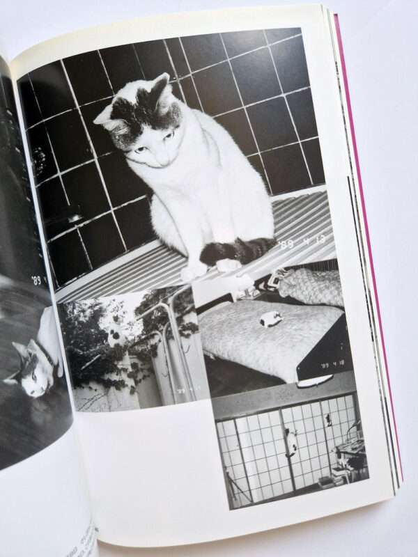 The works of Nobuyoshi Araki 10 Chiro, Araki and 2 lovers bis 9