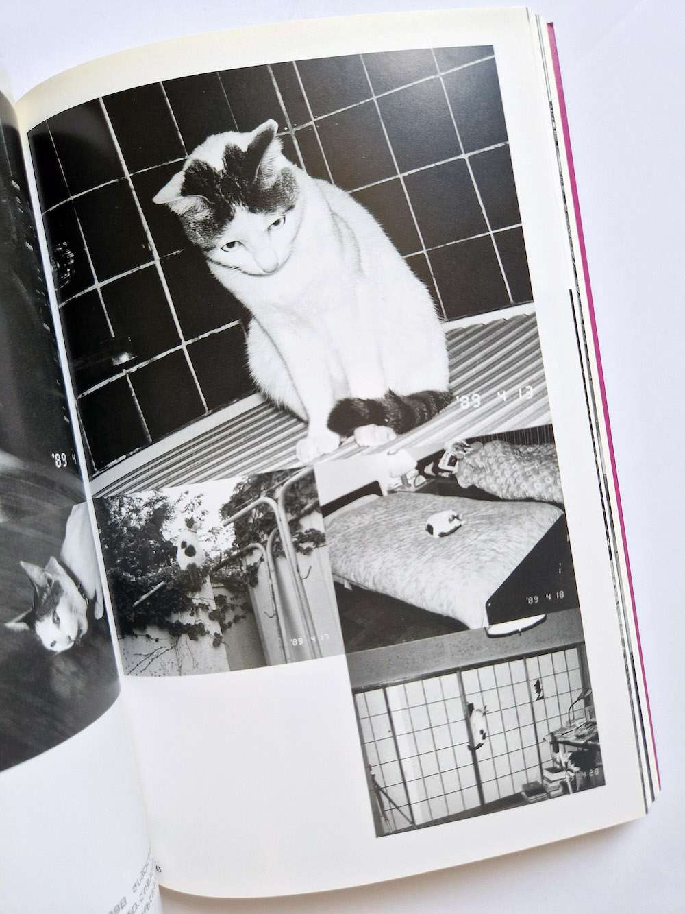 The works of Nobuyoshi Araki 10 Chiro, Araki and 2 lovers bis 9 The works of Nobuyoshi Araki 10 Chiro, Araki and 2 lovers bis 9