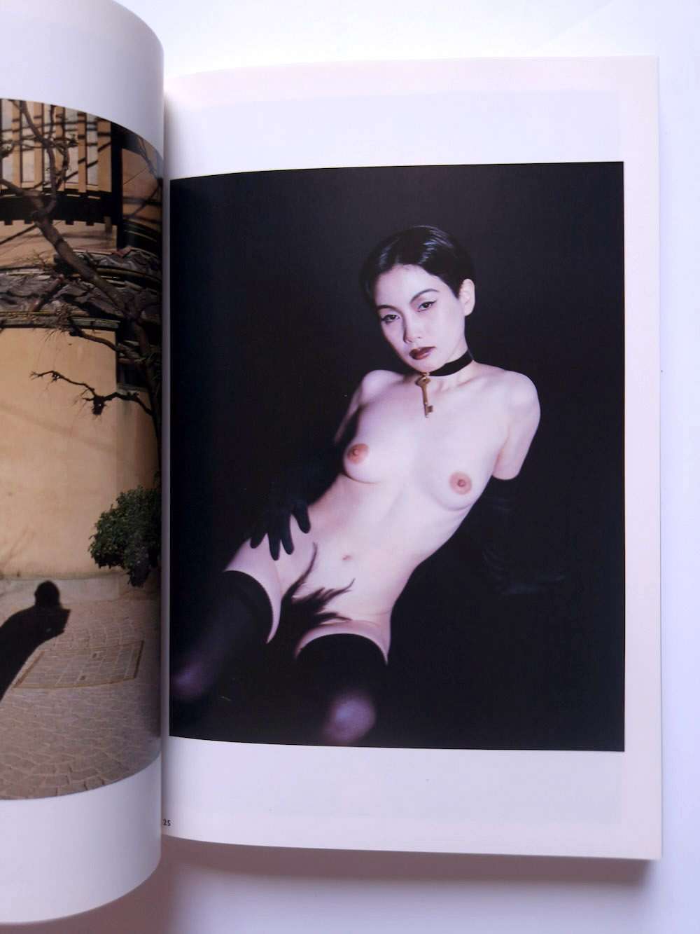 The works of Nobuyoshi Araki 19 A's lovers bis 18