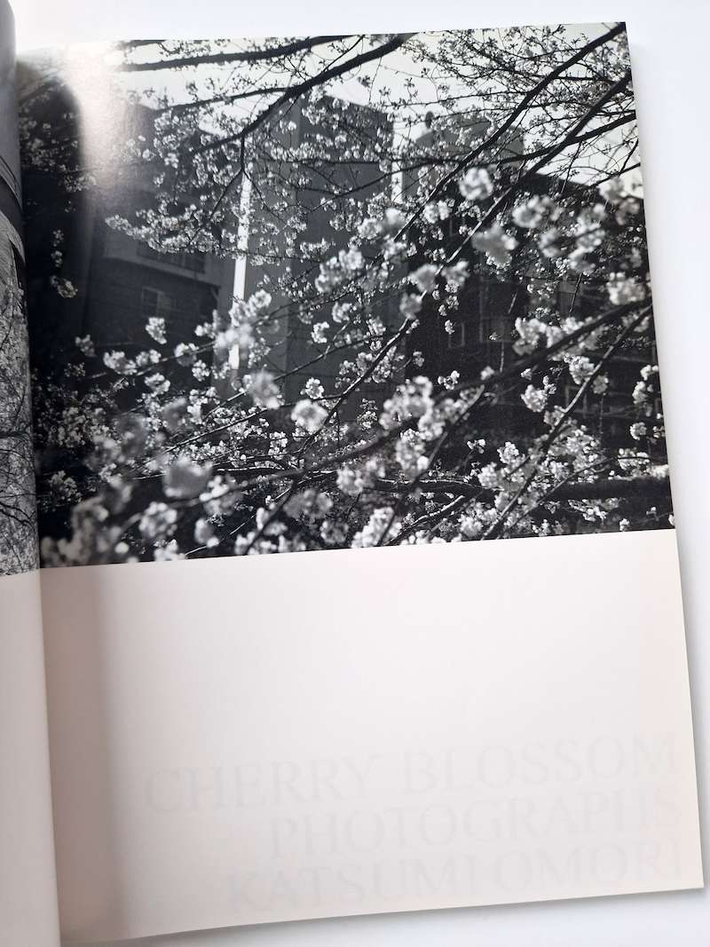 DUNE N°24 Autumn 25