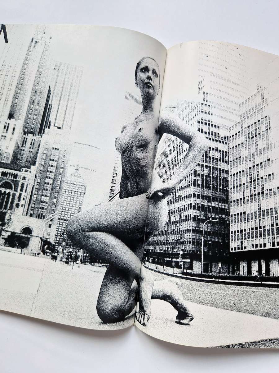 Ipy Girl Ipy Tad Wakamatsu 21