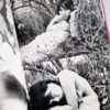 Izumi this bad girl Nobuyoshi Araki 27
