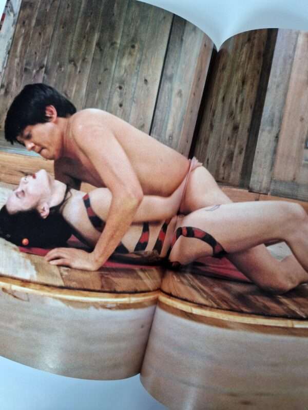 Oiran The Courtesan Tetsuji Takechi 16