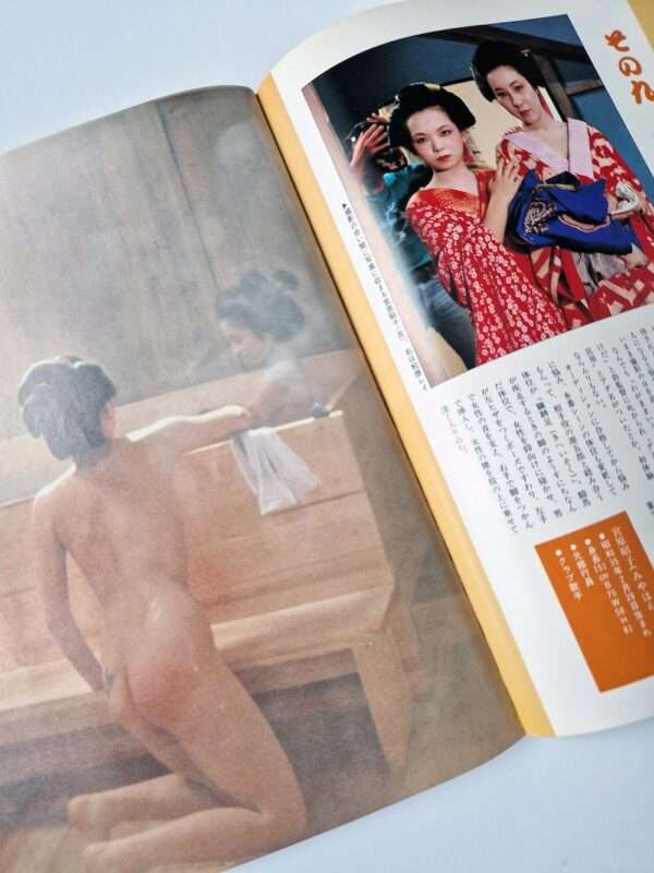 Oiran The Courtesan Tetsuji Takechi 18
