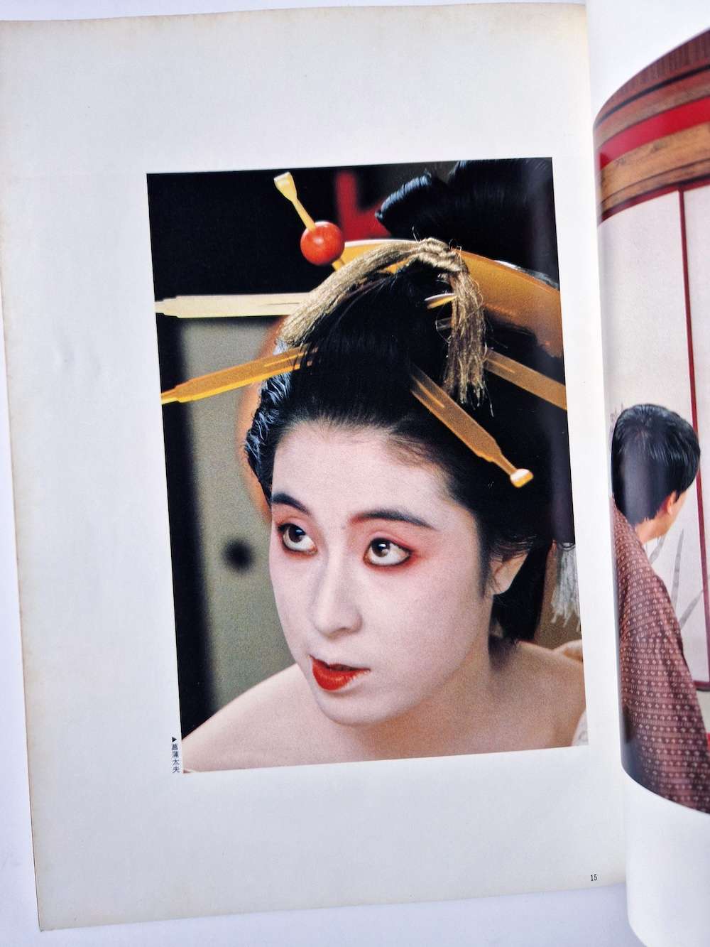 Oiran The Courtesan Tetsuji Takechi 9